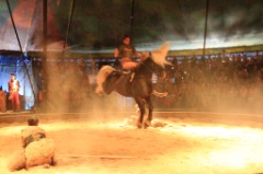 Cavale 34 * 5184 x 3456 * (8.1MB)